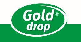 GOLD DROP